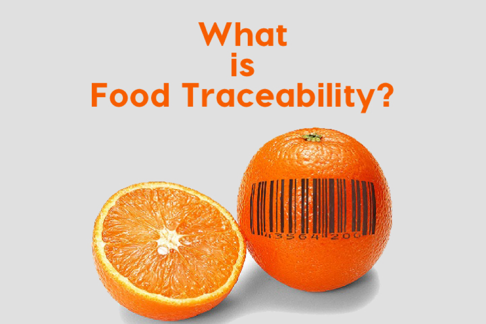 6 Benefits of Food Traceability and the Role of ERP Software