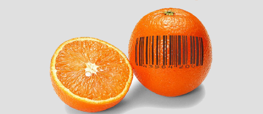 Oranges with sku bar code for scanning