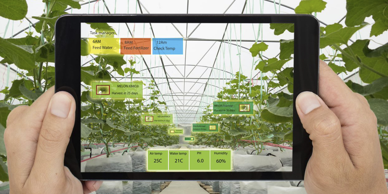 How AI Will Help Food Manufacturers With Forecast Accuracy