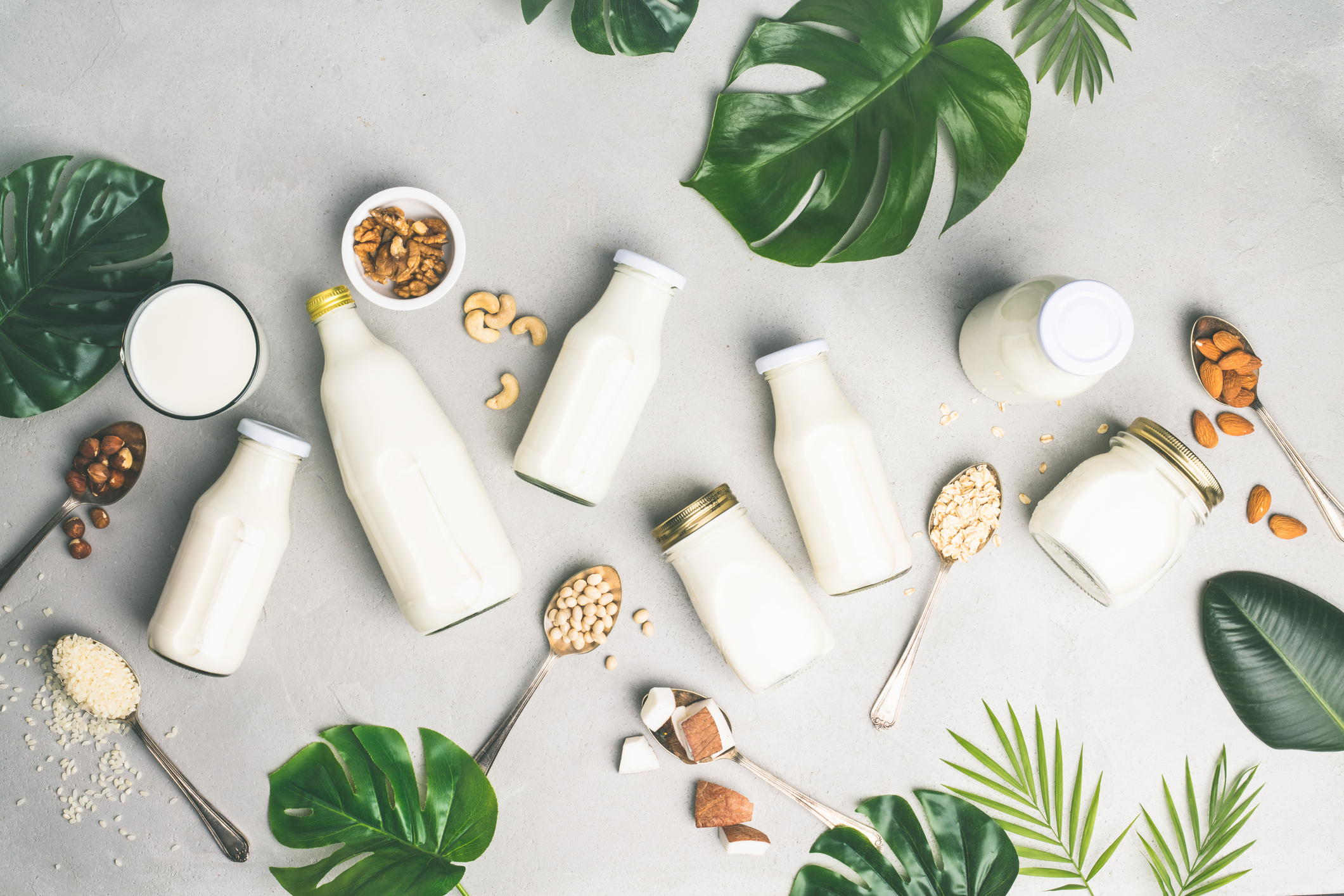 Milkless Milk: How Plant-Based Dairy Is Changing the Manufacturing Game